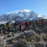 7 Day Kilimanjaro Climbing Via Lemosho Route - The Itinerary Breakdown: What You Can Expect Day-by-Day