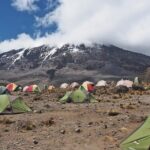 7-Day Kilimanjaro Hiking Tour via Machame Route - Authentic Insights from Reviewers
