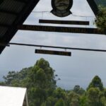 7 Day Kilimanjaro Machame climb - The Experience on the Ground: Guides, Support, and Food