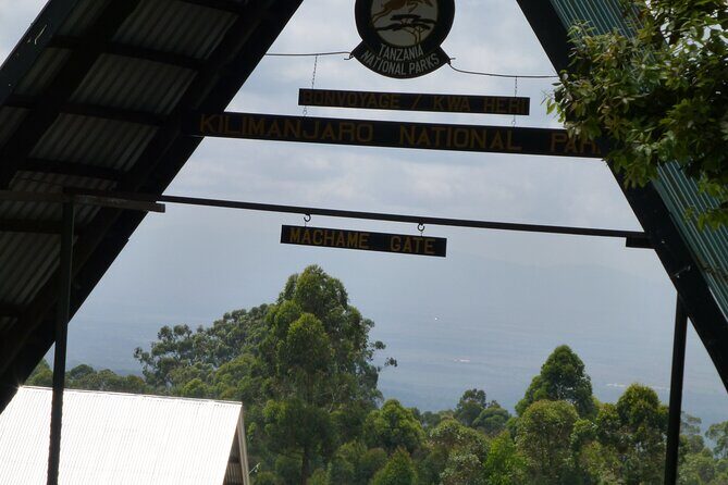 7 Day Kilimanjaro Machame climb - The Experience on the Ground: Guides, Support, and Food