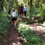 7-Day Mountain Climbing in Machame Route - Guides, Food, and Support