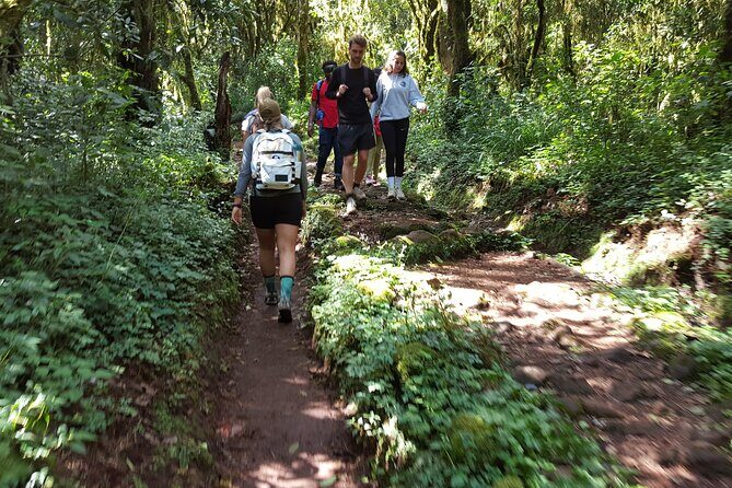 7-Day Mountain Climbing in Machame Route - Guides, Food, and Support