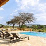 7-Day Premium Luxury Tanzania Safari All-Inclusive - What Sets This Tour Apart