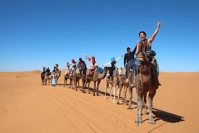 7-Day Private Guided Desert Tour from Casablanca to Marrakech - Why This Tour Offers Great Value