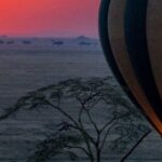 7-Day Private midrange Tour in Arusha with Airport Pickup - Transportation, Lodging, and Overall Value