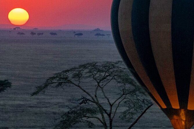 7-Day Private midrange Tour in Arusha with Airport Pickup - Transportation, Lodging, and Overall Value