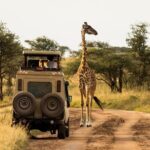 7-Day Private Uganda Gorilla Tracking Safari Tour From Entebbe - Why This Tour Provides Great Value