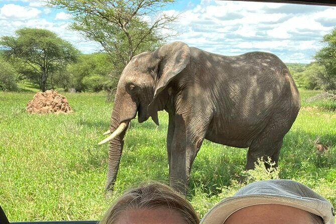 7 Day The Great Savannah Luxury Safari All Inclusive - Exploring the Itinerary in Detail