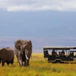7 Days Breathtaking Kenya Wildlife Private Safari - Why This Safari Offers Good Value