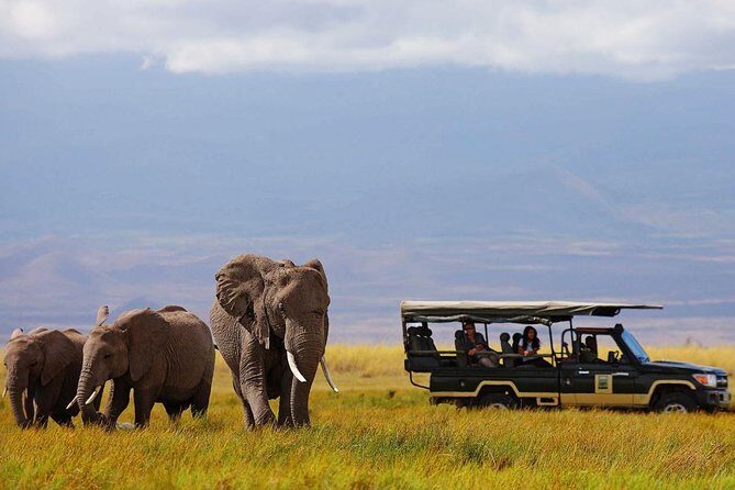7 Days Breathtaking Kenya Wildlife Private Safari - Why This Safari Offers Good Value