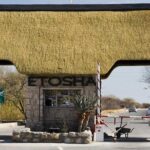 7 Days-Desert adventure, Swakopmund & Etosha Lodging Tour - The Itinerary Breakdown