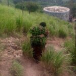 7 Days Fort Portal Culture Tour Western Uganda - Exploring Fort Portal and Its Surroundings