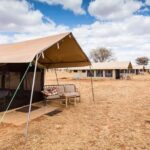 7 Days Group Camping Tarangire/Serengeti/Ngorongoro Crater and Lake Manyara - Final Thoughts: Who Is This Tour Perfect For?