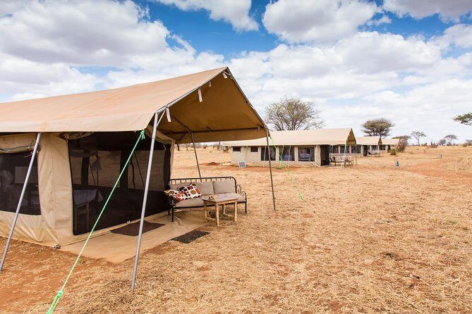 7 Days Group Camping Tarangire/Serengeti/Ngorongoro Crater and Lake Manyara - Final Thoughts: Who Is This Tour Perfect For?