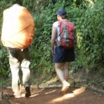 7 Days Kilimanjaro Climbing | Hiking Tour via the Lemosho Route - Why Choose the Lemosho Route?