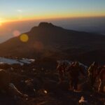 7 Days Kilimanjaro Climbing Machame Route - Real Insights from Travelers
