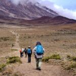 7 Days Kilimanjaro Mountain Hiking with Professional Guide - Key Points