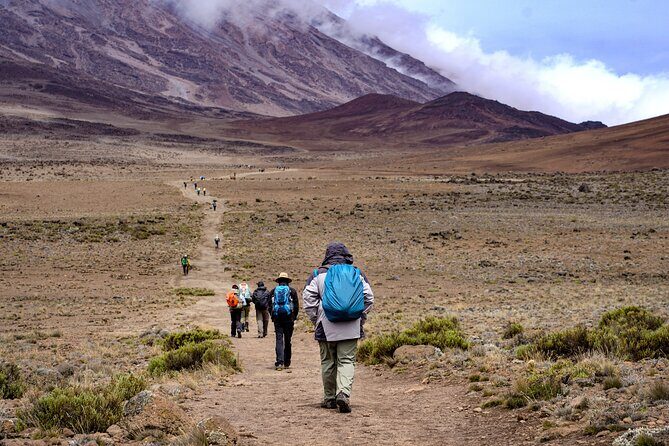 7 Days Kilimanjaro Mountain Hiking with Professional Guide - Key Points