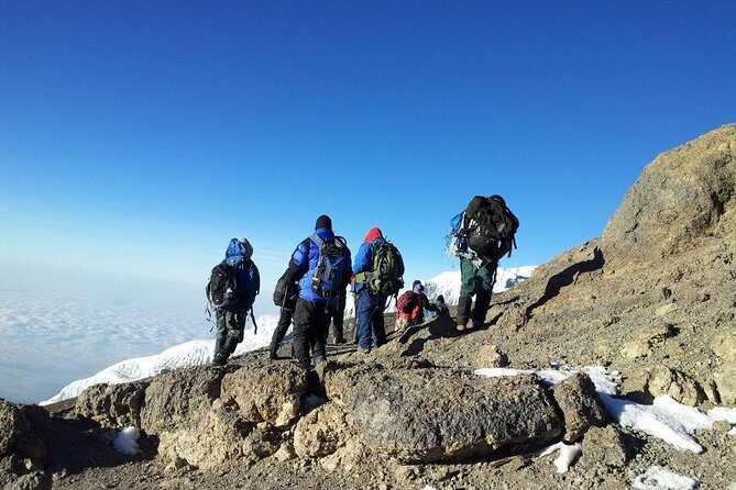 7 Days Kilimanjaro Trekking Machame Route with Professional Guide - What Makes This Tour Stand Out?