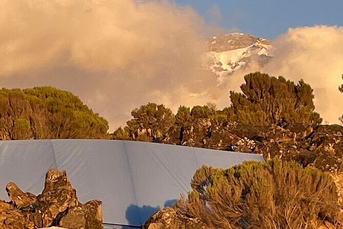7 Days Kilimanjaro Trekking Machame Route - Who Is This Tour Best For?