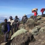 7 Days Lemosho Route - What Makes This Tour Stand Out?