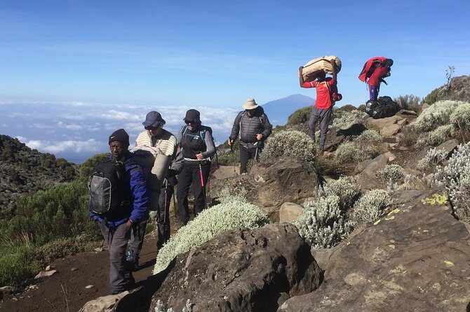 7 Days Lemosho Route - What Makes This Tour Stand Out?