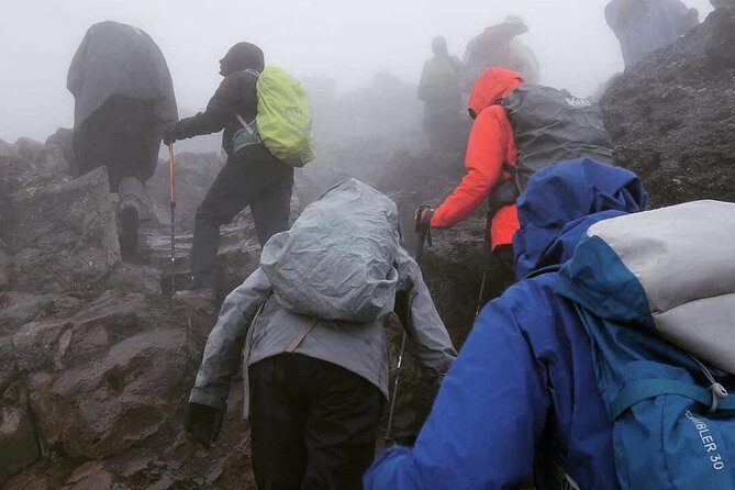 7 days Lemosho route Climbing Mt.Kilimanjaro - Practical Details and Tips