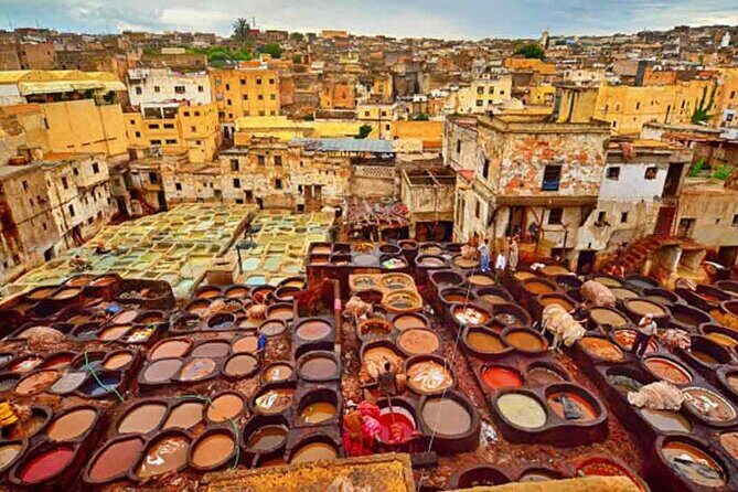 7 Days Luxury Desert Tour From Casablanca to Marrakech via fez -Camel trekking - Who Is This Tour Best For?