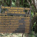 7 Days Machame Route - A Closer Look at the 7-Day Machame Route Experience