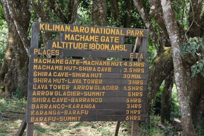 7 Days Machame Route - A Closer Look at the 7-Day Machame Route Experience