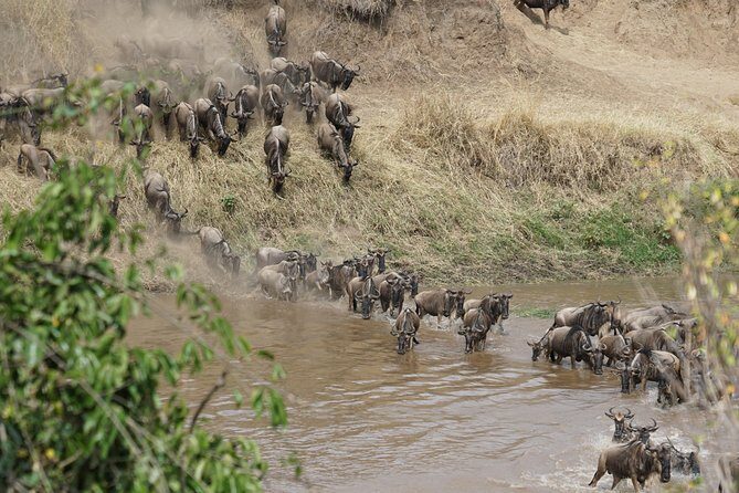 7 Days Migration Crossing in Mara River Northern Serengeti - Itinerary Breakdown: Why It Works
