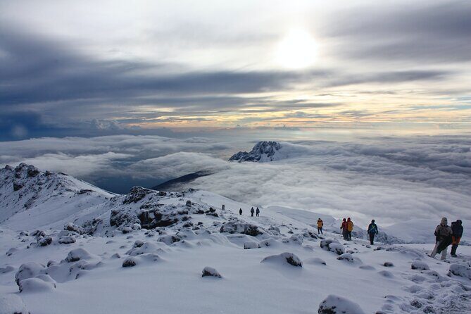 7 Days Mount Kilimanjaro Climbing via Machame Route - Detailed Review of the 7-Day Machame Route Tour
