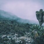 7 Days Mount Kilimanjaro Machame Route - Final Thoughts