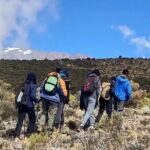 7 Days Mount Kilimanjaro Machame Route - Logistics and Practical Details