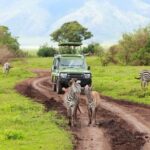 7-Days Private Midrange Safari; Serengeti & Ngorongoro Crater - What We Loved About This Safari