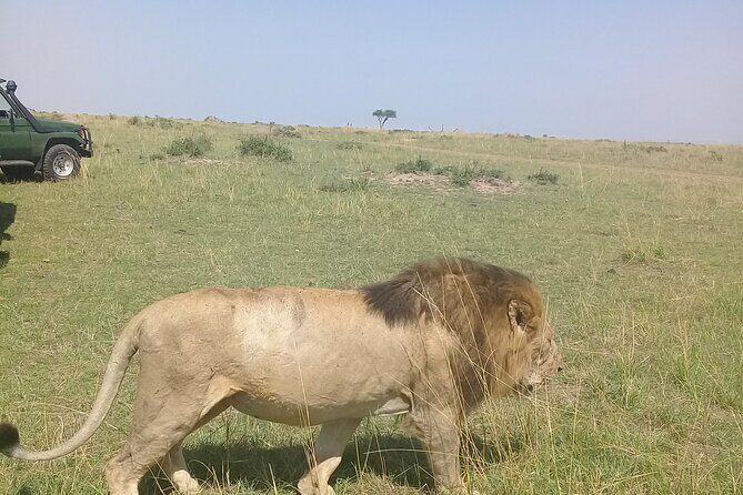 7 Days Private safari to 4 Star lodges using a Jeep - Practical Details and Considerations