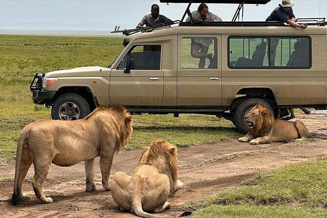 7 Days Private safari Tour in Tanzania - The Complete Experience Breakdown