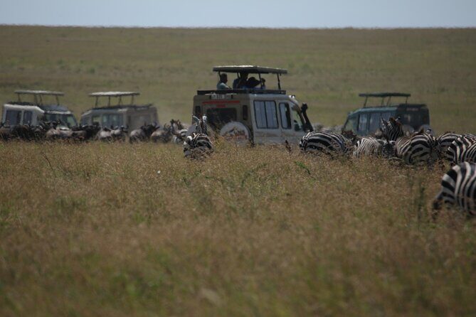 7 Days Private Serengeti Wildebeest Migration Tour - Practical Details and What They Mean for You