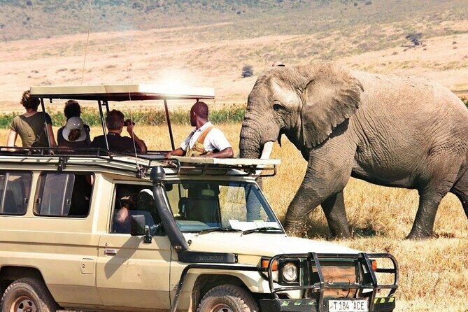 7 Days Private Tanzania Safari - Why This Tour Offers Great Value