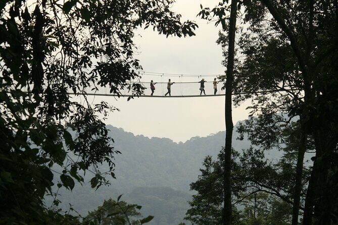 7 Days Private Tour of Rwanda - An Introduction to Rwanda’s Diverse Charm