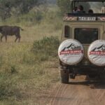 7 Days Serena Experience to Serengeti Great Migration - Practical Considerations
