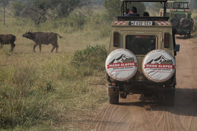 7 Days Serena Experience to Serengeti Great Migration - Practical Considerations