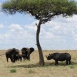 7 days Sopa lodges full private package - Why This Tour Offers Great Value