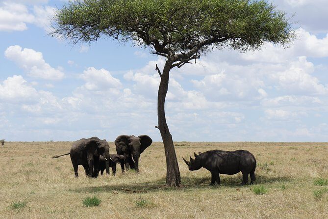 7 days Sopa lodges full private package - Why This Tour Offers Great Value