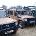 7 Days Tanzania Mid-range lodge safari - Practical Aspects: Transportation, Cost & Value