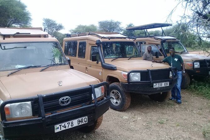 7 Days Tanzania Mid-range lodge safari - Practical Aspects: Transportation, Cost & Value