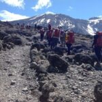 7 days_Mount kilimanjaro Hiking Lemosho Route - Highlights Drawn from Reviews and Real Experiences