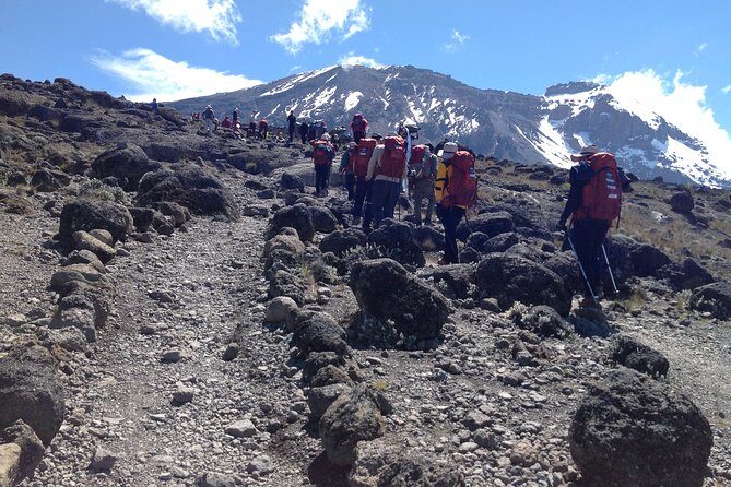 7 days_Mount kilimanjaro Hiking Lemosho Route - Highlights Drawn from Reviews and Real Experiences