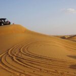 7-hour Small Group 4x4 Desert Safari Tour with Buffet Dinner in Dubai - Why This Tour Works for Different Travelers