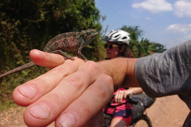 7 Hours Guided Cycling Tour to Sezibwa Waterfalls - What Makes This Tour Special?